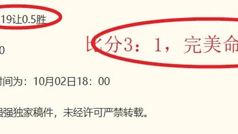 电竞战队夺冠，品牌合作价值凸显